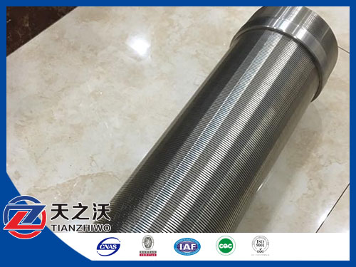 6” dia Stainless Steel Strainer (AISI Type-304)